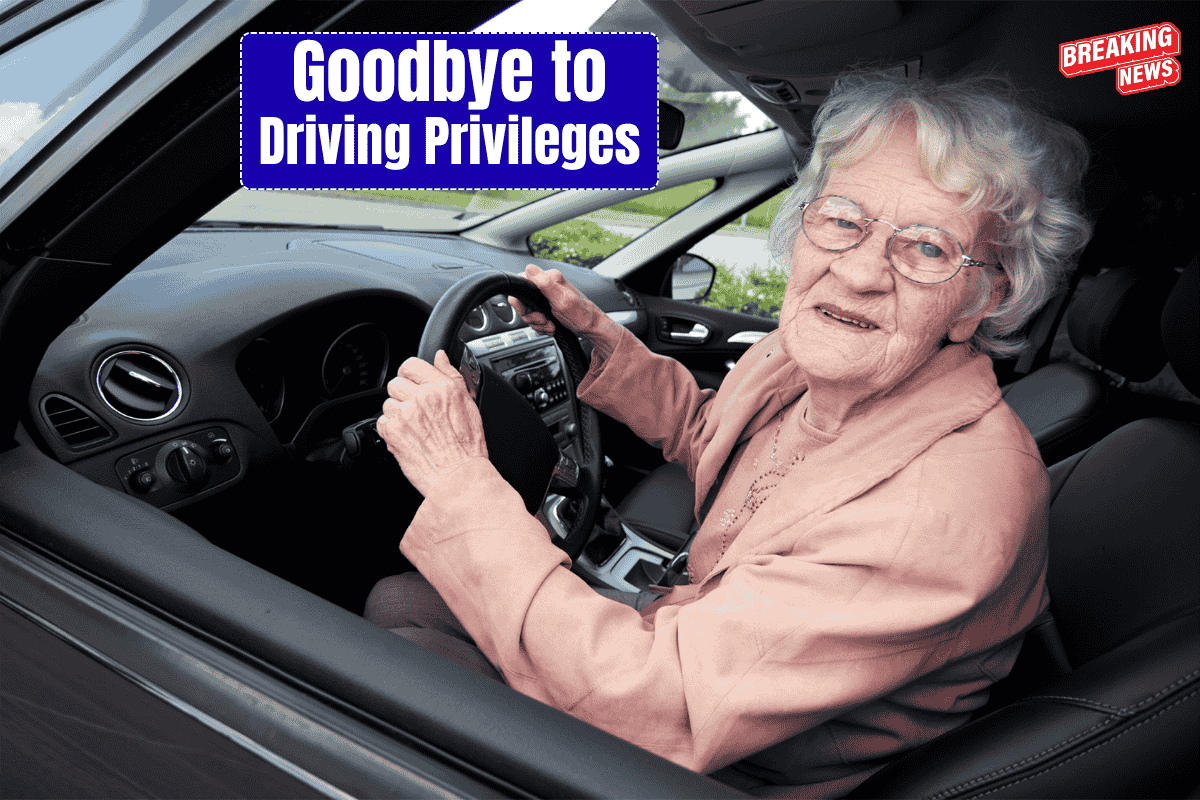 Goodbye to Driving Privileges for Old Age Drivers from 1 Januray 2026 – It comes after a tragic accident by an 88-year-old