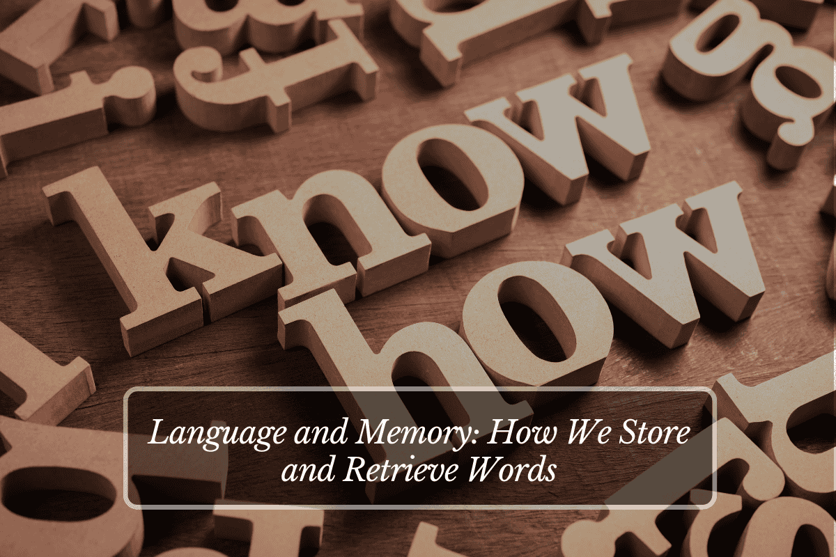 Language and Memory How We Store and Retrieve Words