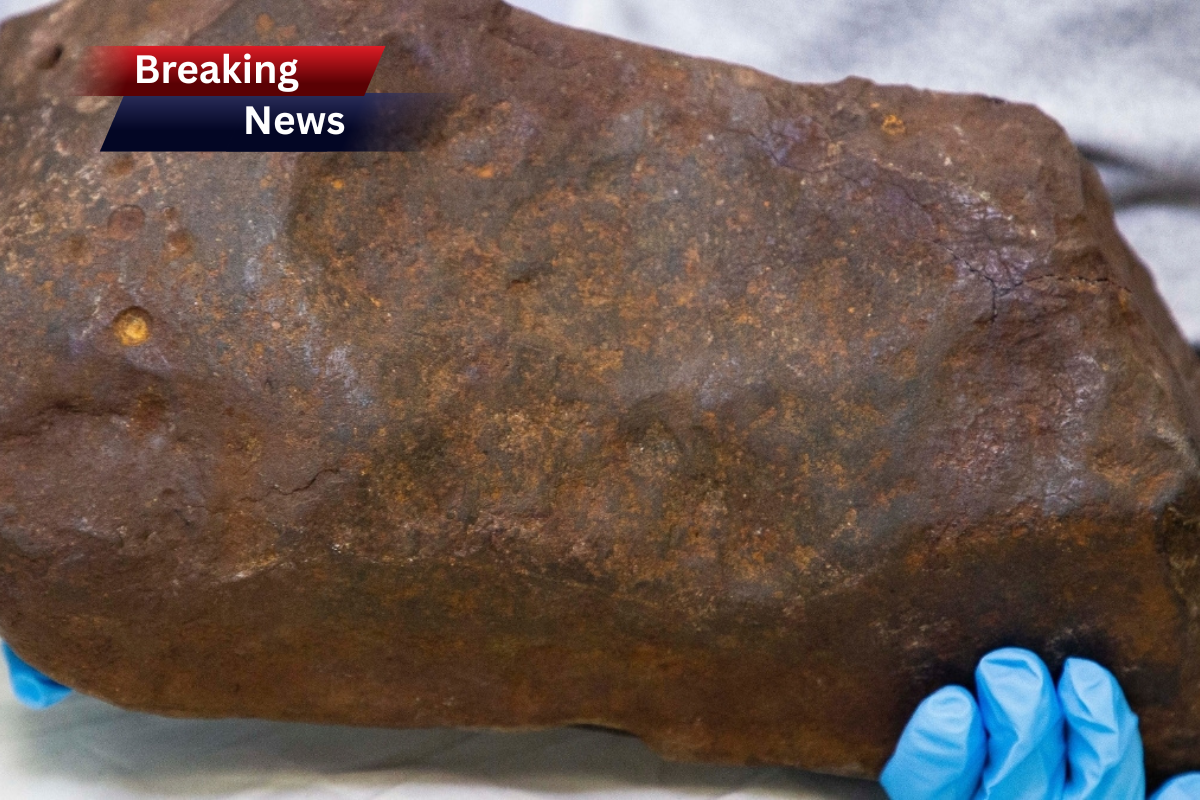 Man Keeps Rock For Years, Hoping It's Gold. It Turned Out to Be Way More Valuable.