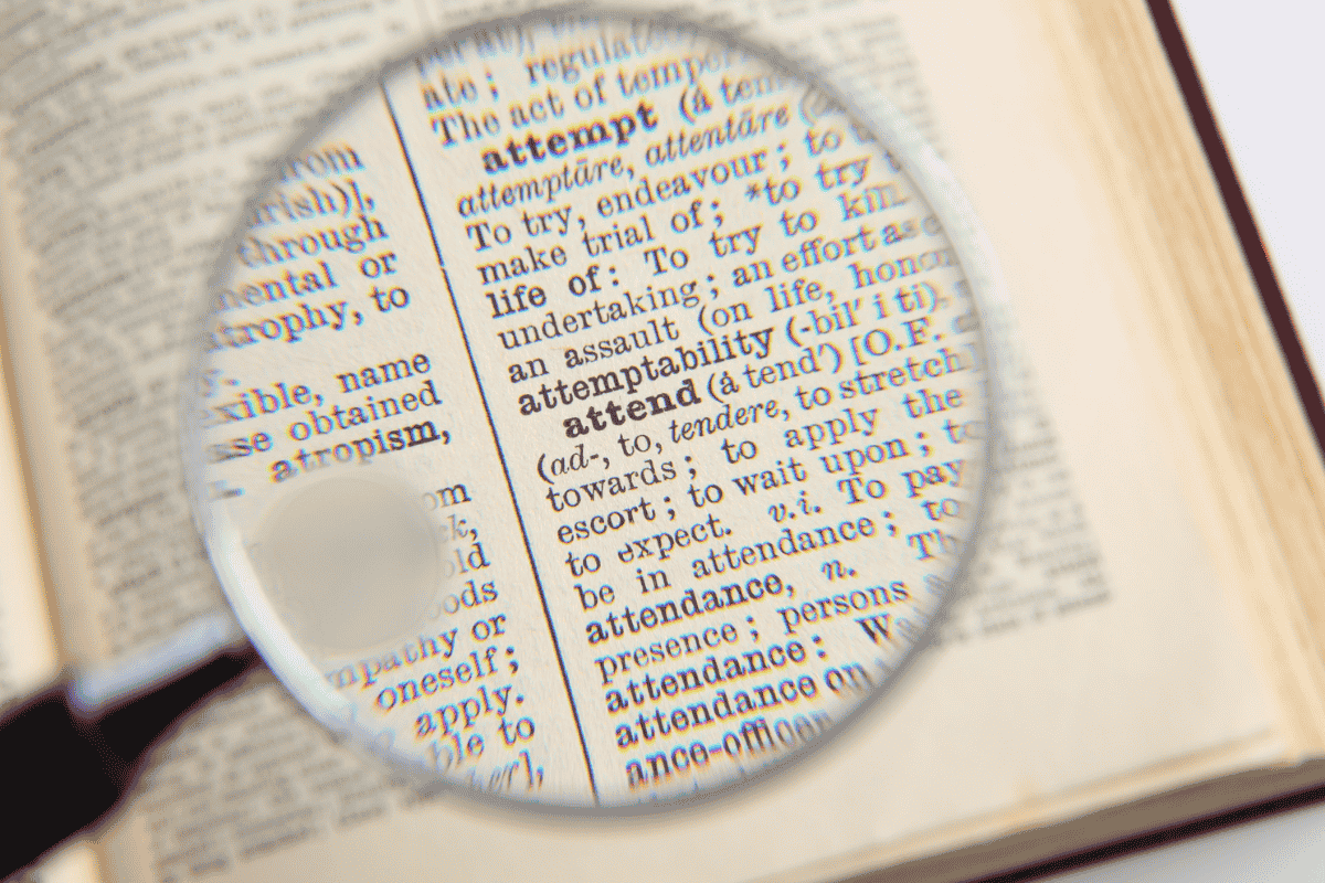 The Influence of Norse on English Vocabulary