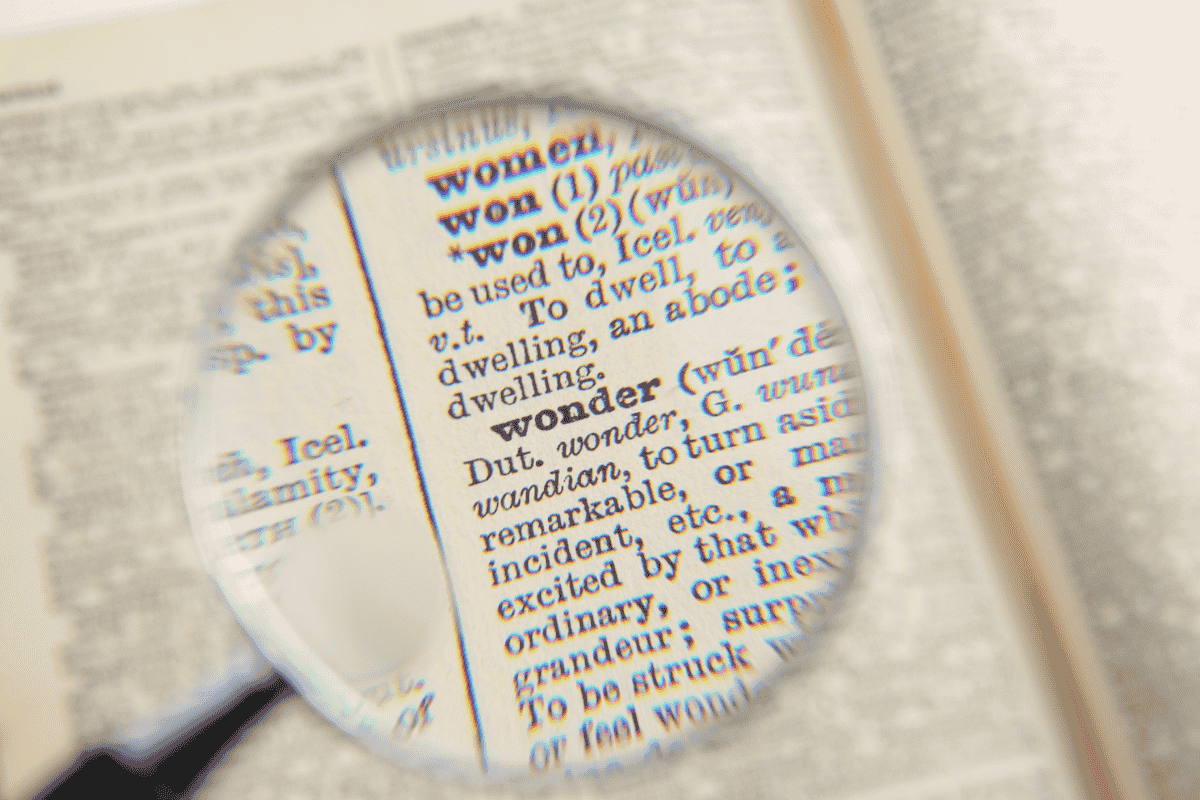 The Role of Language in Shaping Our Perceptions of the World