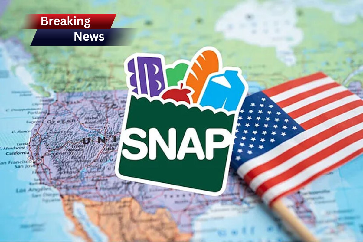 SNAP benefits schedule for December, check out payments dates in each state and new requirements